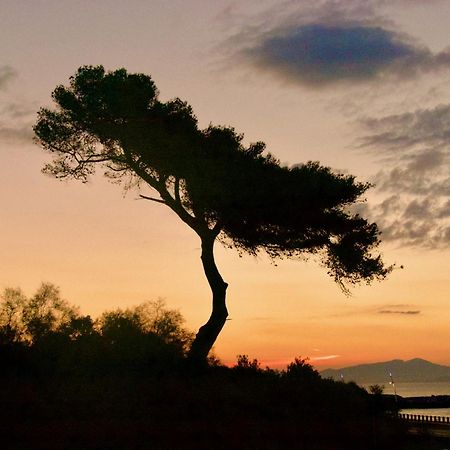 Appartement 60M2 - 2 Chambres A Une Minute Des Plages, Parking Prive Sausset-les-Pins Εξωτερικό φωτογραφία